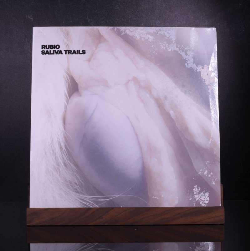 djrubio — Saliva Trails